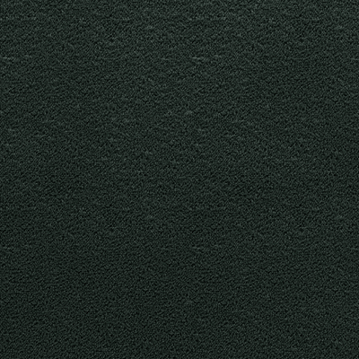 Moss - Moss