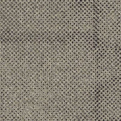 Transition - Seed