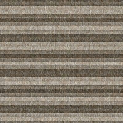 Mineral - Compact