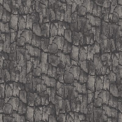 Industrial Landscape - Coal