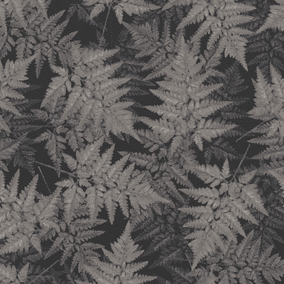 Nature - Jungle floor