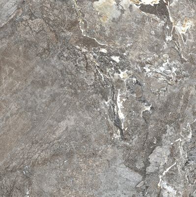 Color Silver Porphyry