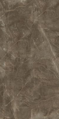 Color Stone Brown