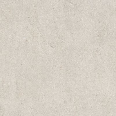 Color White Fossil