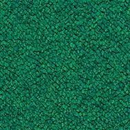 tessera chroma evergreen