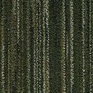 coral interior rain forest
