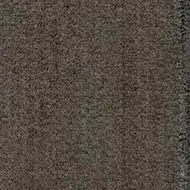 coral interior desert sand