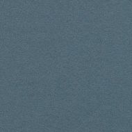 flotex borders tempest