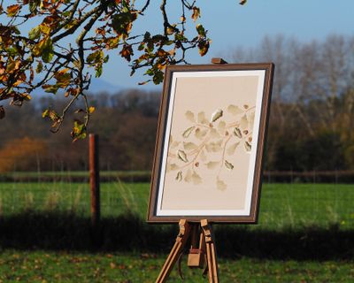 Bur Artwork - Oak Leaf