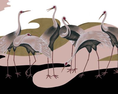 Rosea - Flock