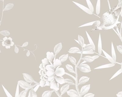 Serene - Bambois
