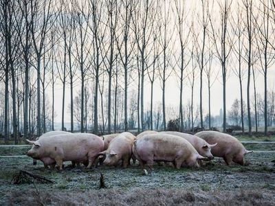 The Respected by Gaggenau 2021 recipients