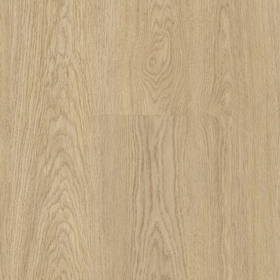 1299 Greenland light