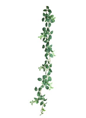 Fittonia garland 1800
