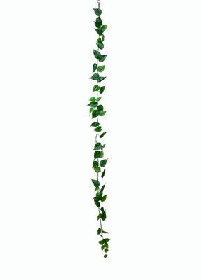 Golden Pothos garland 1900