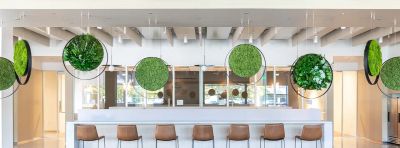 About — Greenmood Belgium