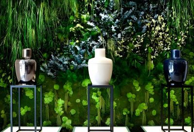 Greenwall - Forest