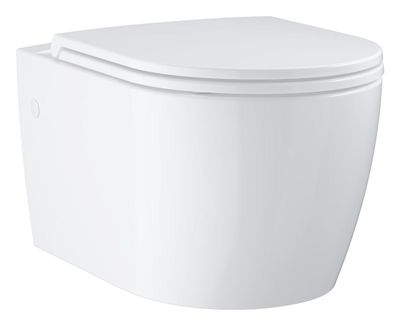 Wall hung WC set