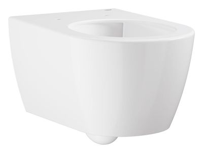 Wall hung WC