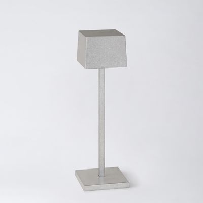 INSITU