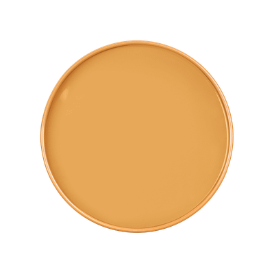 GAMBOGE Paint - 13