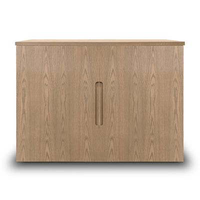 Cabinet console fini authentik | porte pleine