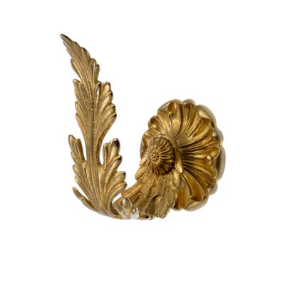 Flora Foglia - brass embrasse