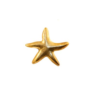 Oceano Linosa - starfish brass knob
