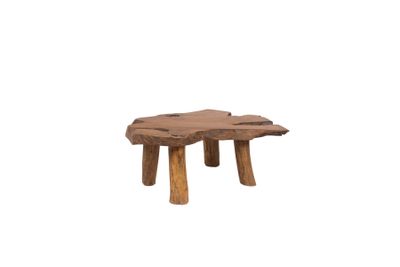 Root coffee table Radice