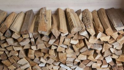 QUALI SONO LE PRIME DOMANDE DA PORSI? - Amonn Color - Legno
