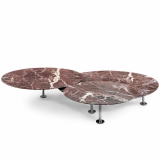 Grasshopper Coffee Table