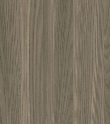Grey Elm