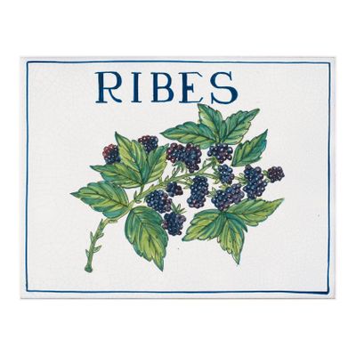 Ceramic tile - decorated - PT/BT/RIB.25X30
