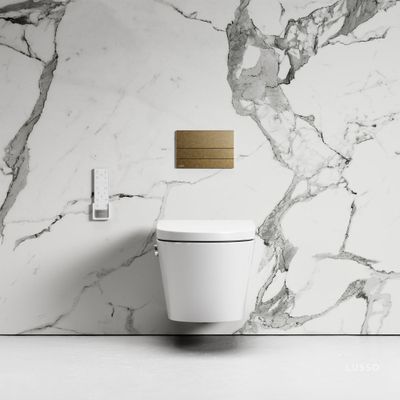 Intellismart Wall Hung Rimless Bidet Toilet With Concealed Cistern Frame And Square Flush Plate