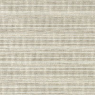 Dune 3 003 Brittle