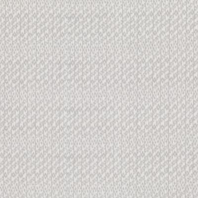 Bantu Silverbirch