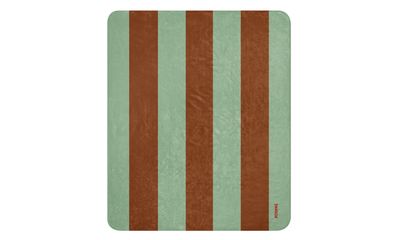Boreal Blanket Brown/Aquamarine Striped