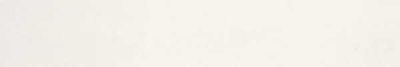 Mosa Cool Porcelain White 4 x 24 inch Tile (200V1060-D)