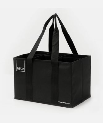Shop 6-Lamp Carry Bag | Premium Transport Solution