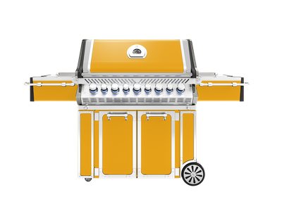 OG Professional Grill 100