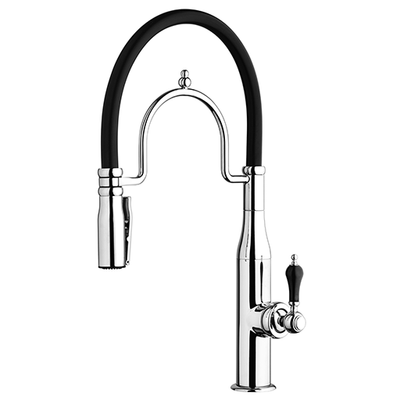 Single-lever Kitchen Mixer with Spring and Swivel Spout, Dual Mode Spray 64..557..B