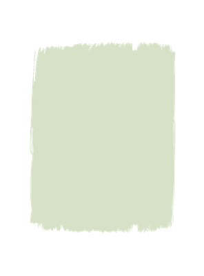 Latte E Menta T102 P.124 Wall Paint