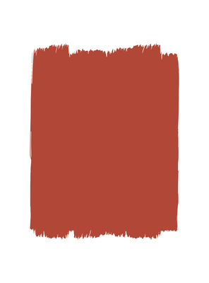 Rosa Canina T31 P.300 Wall Paint