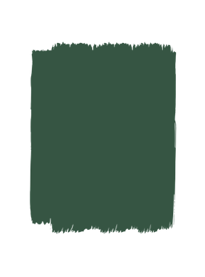 Cactus Wall Paint