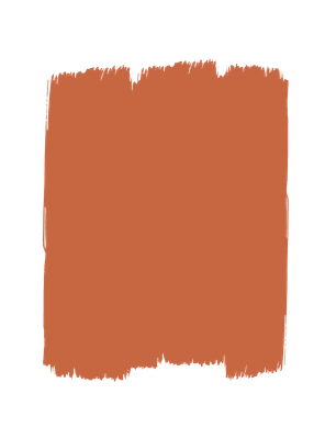 Zucca Wall Paint