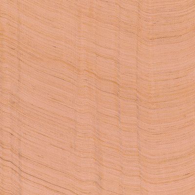 Sheer Oasis in Blush Husk