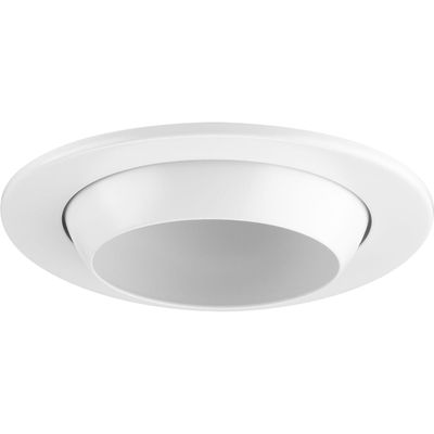 4" Recessed Eyeball Trim for 4" Housing (P804N series)