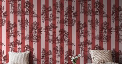 Happy Toile, Raspberry