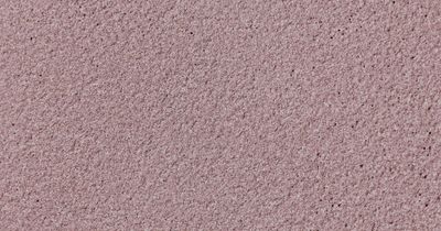 standard, burgundy, ferro plus