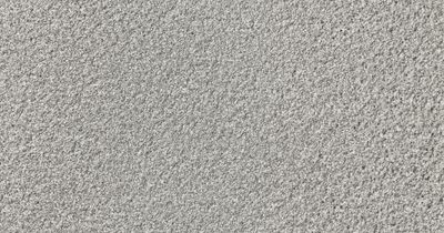 standard, silvergrey, ferro plus